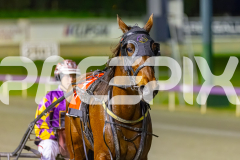 2025_PACEPIX_GP09092025_Race4_SimplyTheBest_WIN_WEB-9