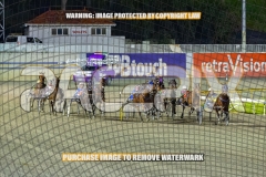 2026_PACEPIX_GP22092026_RACE4_SisterCherie_WIN_WEB-1