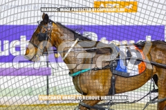 2026_PACEPIX_GP22092026_RACE4_SisterCherie_WIN_WEB-13