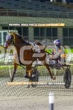 2026_PACEPIX_GP28082026_Race4_SohoShakedown_WIN_WEB-1