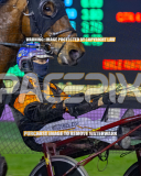 2026_PACEPIX_GP28082026_Race4_SohoShakedown_WIN_WEB-10