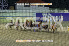 2026_PACEPIX_GP28082026_Race4_SohoShakedown_WIN_WEB-11