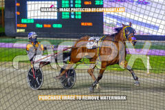 2026_PACEPIX_GP28082026_Race4_SohoShakedown_WIN_WEB-16