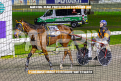 2026_PACEPIX_GP28082026_Race4_SohoShakedown_WIN_WEB-26