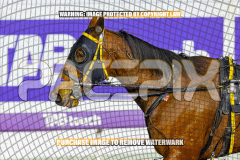 2026_PACEPIX_GP28082026_Race4_SohoShakedown_WIN_WEB-27