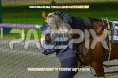 2026_PACEPIX_GP28082026_Race4_SohoShakedown_WIN_WEB-29