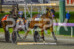 2026_PACEPIX_GP28082026_Race4_SohoShakedown_WIN_WEB-3