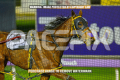 2026_PACEPIX_GP28082026_Race4_SohoShakedown_WIN_WEB-5