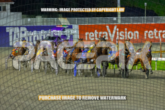 2026_PACEPIX_GP28082026_Race4_SohoShakedown_WIN_WEB-6