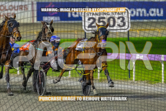 2026_PACEPIX_GP28082026_Race4_SohoShakedown_WIN_WEB-7