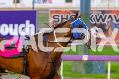 2026_PACEPIX_GP31032026_RACE4_SouthSideStory_WIN_WEB-13