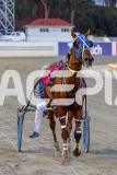 2026_PACEPIX_GP31032026_RACE4_SouthSideStory_WIN_WEB-17