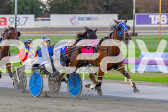 2026_PACEPIX_GP31032026_RACE4_SouthSideStory_WIN_WEB-2