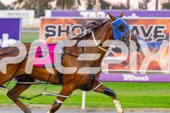 2026_PACEPIX_GP31032026_RACE4_SouthSideStory_WIN_WEB-3