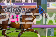 2026_PACEPIX_GP31032026_RACE4_SouthSideStory_WIN_WEB-5