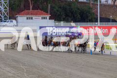 2026_PACEPIX_GP31032026_RACE4_SouthSideStory_WIN_WEB-6