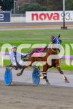 2026_PACEPIX_GP31032026_RACE4_SouthSideStory_WIN_WEB-7
