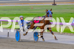 2026_PACEPIX_GP31032026_RACE4_SouthSideStory_WIN_WEB-8