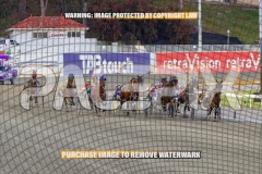 2026_PACEPIX_GP06102026_Race4_SpiritOfSahara_WIN_WEB-1
