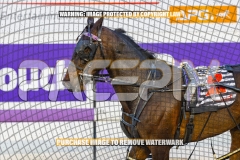 2026_PACEPIX_GP06102026_Race4_SpiritOfSahara_WIN_WEB-13