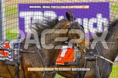 2026_PACEPIX_GP06102026_Race4_SpiritOfSahara_WIN_WEB-9