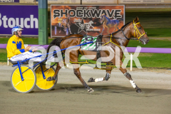 Star-Casino_06-03-2026_WIN_Gloucester-Park_4__03