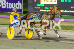 Star-Casino_06-03-2026_WIN_Gloucester-Park_4__09