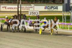 Star-Casino_06-03-2026_WIN_Gloucester-Park_4__10