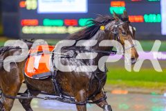 2025_PACEPIX_GP30052025_RACE4_SugarApple_WIN_WEB-18