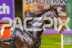 2025_PACEPIX_GP30052025_RACE4_SugarApple_WIN_WEB-20