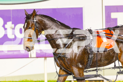 2025_PACEPIX_GP30052025_RACE4_SugarApple_WIN_WEB-23