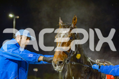 2025_PACEPIX_GP30052025_RACE4_SugarApple_WIN_WEB-26