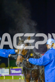 2025_PACEPIX_GP30052025_RACE4_SugarApple_WIN_WEB-27