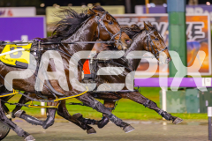 2025_PACEPIX_GP30052025_RACE4_SugarApple_WIN_WEB-8