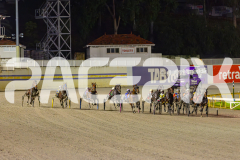 2025_PACEPIX_GP30052025_RACE4_SugarApple_WIN_WEB-9