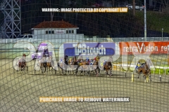 2026_PACEPIX_GP09102026_RACE4_SweetPins_WIN_WEB-1