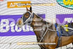 2026_PACEPIX_GP09102026_RACE4_SweetPins_WIN_WEB-10