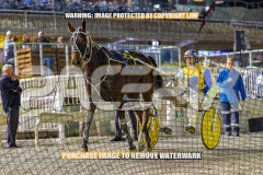 2026_PACEPIX_GP09102026_RACE4_SweetPins_WIN_WEB-14
