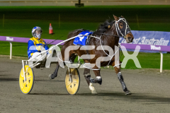 Sweet-Pins_26-06-2026_WIN_Gloucester-Park_4__02