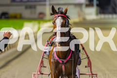 2025_PACEPIX_GP19092025_Race4_SweetVivienne_WIN_WEB-21