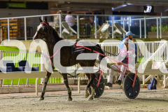2025_PACEPIX_GP19092025_Race4_SweetVivienne_WIN_WEB-26