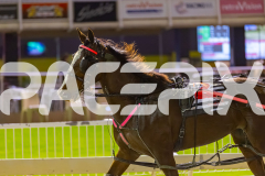 2025_PACEPIX_GP19092025_Race4_SweetVivienne_WIN_WEB-28