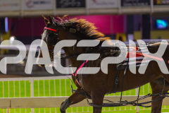 2025_PACEPIX_GP19092025_Race4_SweetVivienne_WIN_WEB-29