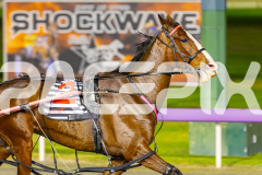 2025_PACEPIX_GP19092025_Race4_SweetVivienne_WIN_WEB-5