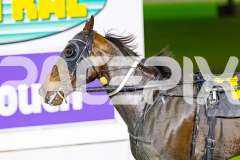 2026_PACEPIX_GP17072026_RACE4_TheLittleMaster_WIN_WEB-7