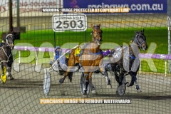 RACE 4 - Travelban