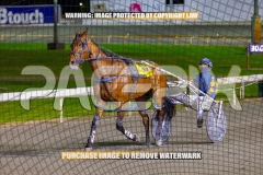 2026_PACEPIX_GP08092026_RACE4_Travelban_WIN_WEB-10