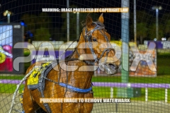 2026_PACEPIX_GP08092026_RACE4_Travelban_WIN_WEB-14