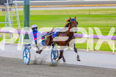 RACE 4 - Troubadour