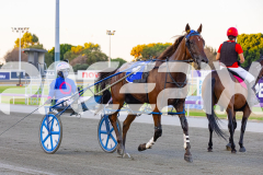 2026_PACEPIX_GP17032026_Race4_Troubadour_WIN_WEB-16